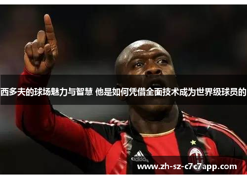 西多夫的球场魅力与智慧 他是如何凭借全面技术成为世界级球员的 西多夫的球场魅力与智慧 他是如何凭借全面技术成为世界级球员的