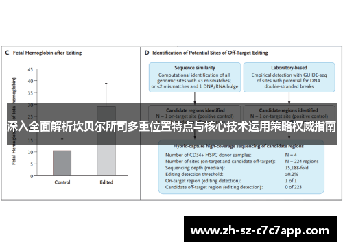 深入全面解析坎贝尔所司多重位置特点与核心技术运用策略权威指南 深入全面解析坎贝尔所司多重位置特点与核心技术运用策略权威指南