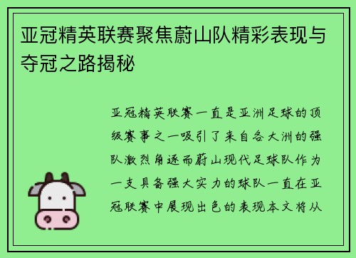 亚冠精英联赛聚焦蔚山队精彩表现与夺冠之路揭秘 亚冠精英联赛聚焦蔚山队精彩表现与夺冠之路揭秘