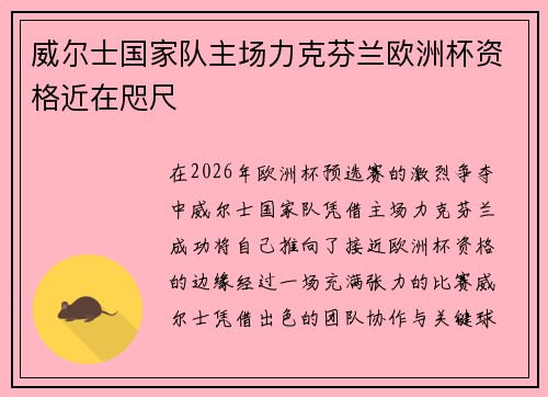 威尔士国家队主场力克芬兰欧洲杯资格近在咫尺 威尔士国家队主场力克芬兰欧洲杯资格近在咫尺